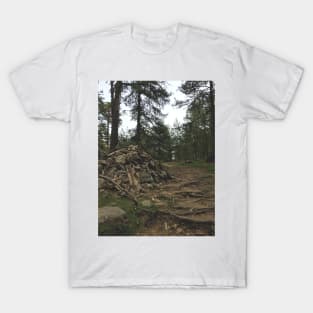 Into the wood T-Shirt